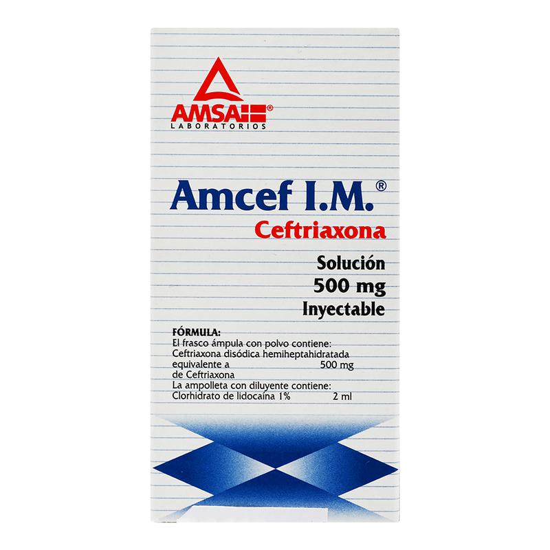 AMCEF 500MG IM Solucion Inyectable - c/1