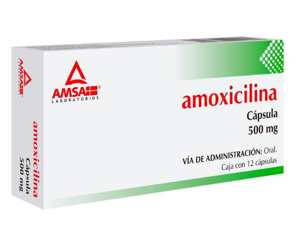 AMOXICILINA AMSA Capsulas - c/12