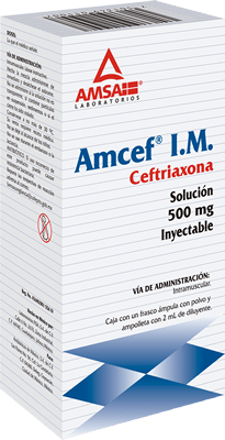 AMCEF 1GR IM Solucion Inyectable - c/1